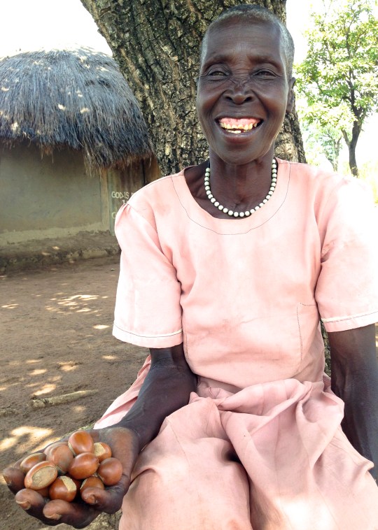 Stigende efterspørgsel på Sheanødder har givet Bitoreci Omara fra Norduganda ekstra indtægter, som går til mad, tøj og skolepenge
