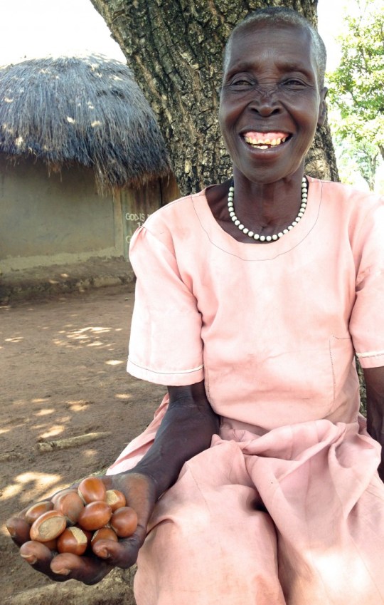 IMG_2230 - version 2